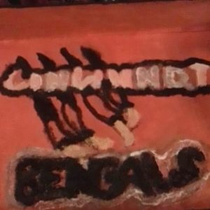 Cincinnati Bengals tray